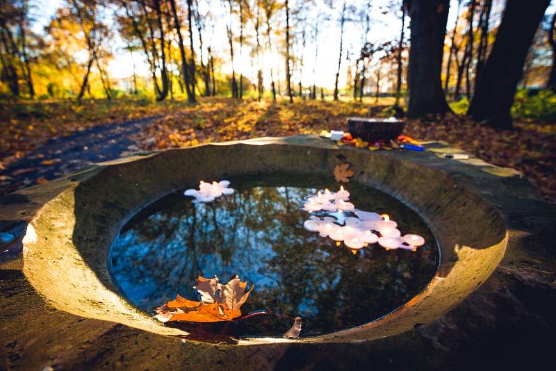 Les vzpomínek v Praze se stal pilotním projektem přírodního hřbitova u nás