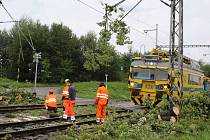 Vítr na železnici strhl strom - Ilustrační foto