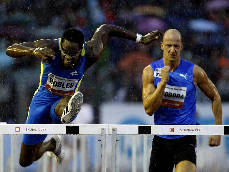 Daren Robles (vlevo) a Petr Svoboda během závodu na 110 m překážek.