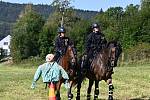 Policie založila roku 1991 jízdní oddíl v Praze, o dva roky později také ve Zlíně a v Brně. Služební koně používají i strážníci městské policie v Ostravě, Pardubicích a v Praze.