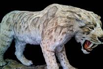 Rekonstrukce podoby pravěké šavlozubé kočky Smilodona.