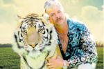 Kdo je nebezpěčnější? Joe Exotic se svým tygrem.