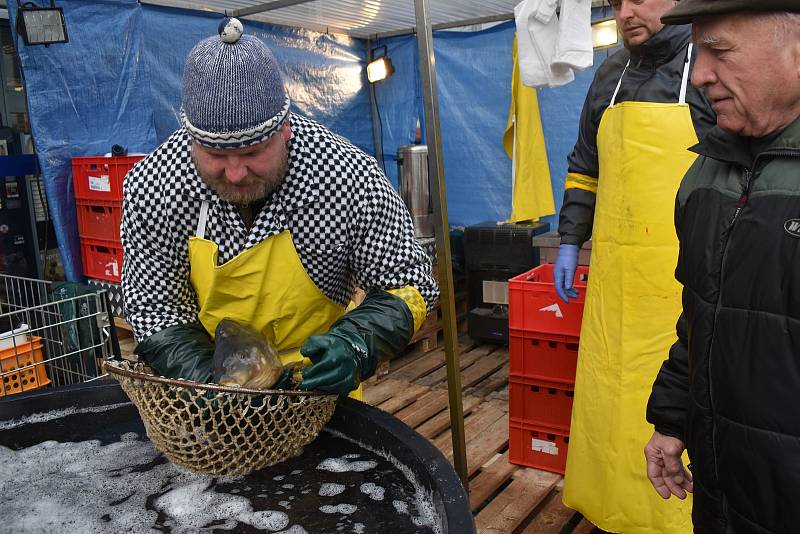 Reportér Deníku Petr Vaňous si vyzkoušel prodej vánočních kaprů v Hradci Králové.