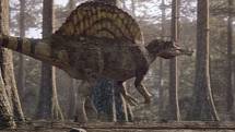 Oblast Kem Kem byla bohatá na obří teropody. Jedním z druhů, které se zde vyskytovaly, byl Spinosaurus aegyptiacus