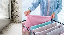 Věšení prádla v kombinaci s nesprávným větráním může přispět ke vzniku interiérových plísní