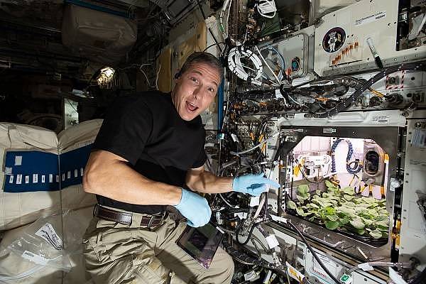 Jak vypadá pěstování ředkviček na Mezinárodní vesmírné stanici. Jedním z úkolů členů mise Crew-1 bylo pěstovat ředkvičky ve vesmíru. Zjišťují tak, jak postupovat, aby si astronauti mohli v kosmu pěstovat i vlastní potraviny.
