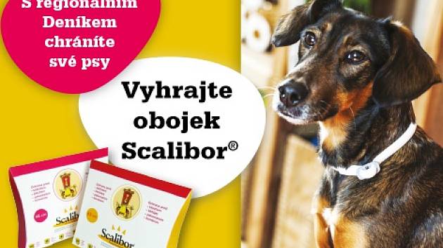 Deník.cz | Zapojte se do soutěže a vyhrajte obojek Scalibor® | fotogalerie