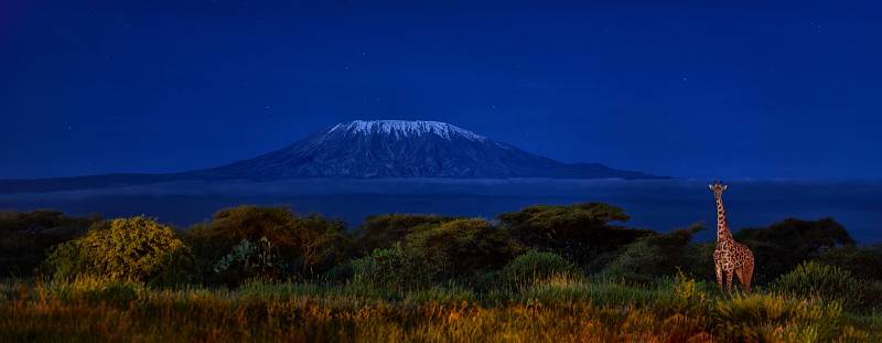 Keňský národní park Amboseli