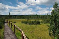 Po dřevěných chodnících se projdete nad rašeliništi a jezírky v národní přírodní rezervaci Rejvíz.