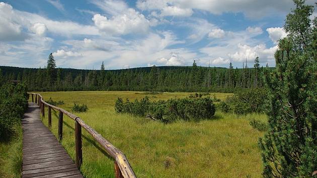 Po dřevěných chodnících se projdete nad rašeliništi a jezírky v národní přírodní rezervaci Rejvíz.