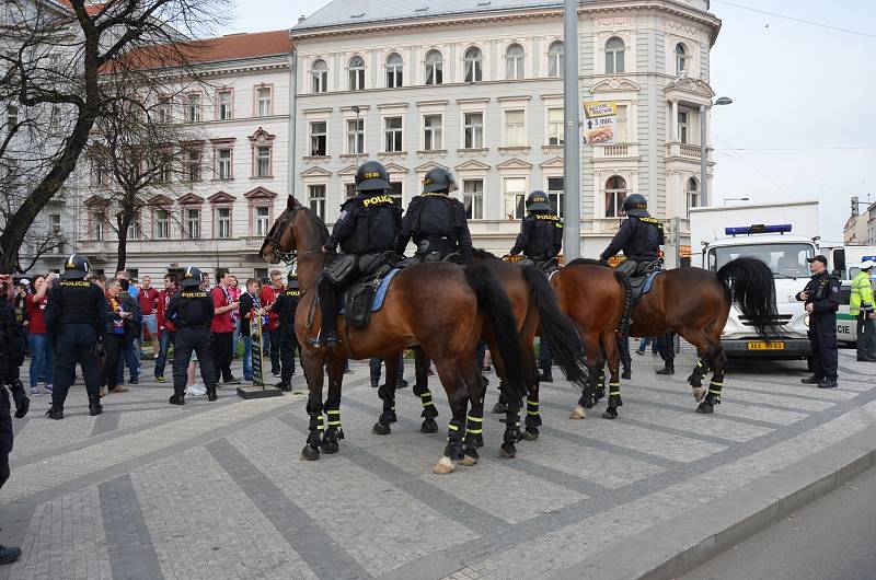 Policejní koně ale musí zůstat klidní, nepanikařit, neplašit se a za všech okolností poslechnout své jezdce.