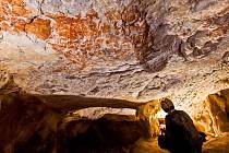 Nejstarší známá kresba zvířete byla nalezena v jeskyni na Borneu.