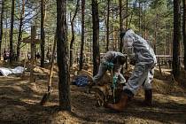 Pracovníci exhumují tělo na provizorním pohřebišti ve východoukrajinském Izjumu, 17. září 2022