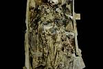 Otevřená rakev s ostatky opata Gregora Johanna Mendela, 3D vizualizace před antropologickým průzkumem