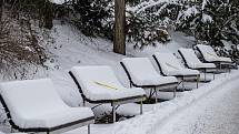 I na lavičkách se sněhovou čepicí je vidět, že Zoo zeje prázdnotou.