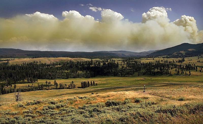 V národním parku Yellowstone jsou časté požáry. Ty, které vznikly "přírodně" (třeba úderem blesku) nechává často správa parku volně hořet, dokud plamenům nedojde dech.