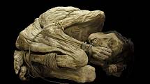 Mumifikované mužské tělo z Jižní Ameriky, pozůstatky člověka žijícího mezi lety 800 až 1400
