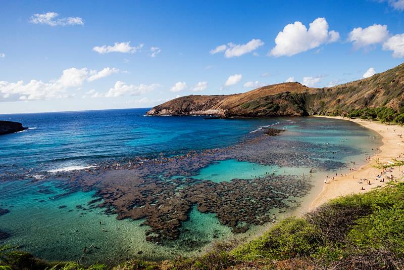 Korálový útes v zátoce Hanauma na jižním pobřeží Oahu na Havaji.