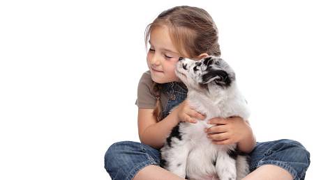Dítě si může zamilovat každý dobře vychovaný pes, některá plemena jsou ale pro lásku k dětem jako stvořená