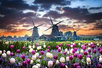 Nizozemský Keukenhof nabízí úchvatnou přehlídku květin se zaměřením na tulipány, narcisy a hyacinty