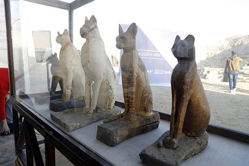 Věhlas si naleziště v egyptské Sakkáře vysloužilo v roce 2019, kdy zde archeologové odkryli desítky kočičích soch a mumie mnoha zvířat, mezi jiným tří lvíčat.