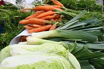 Česká Státní zemědělská a potravinářská inspekce (SZPI) zahájila v tuzemských obchodech kontrolu salátových okurek a namátkově i další zeleniny původem ze Španělska. Důvodem je smrtící střevní infekce, která vypukla v Německu.