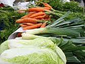 Česká Státní zemědělská a potravinářská inspekce (SZPI) zahájila v tuzemských obchodech kontrolu salátových okurek a namátkově i další zeleniny původem ze Španělska. Důvodem je smrtící střevní infekce, která vypukla v Německu.
