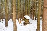 V okolí obce Sedlec - Prčice se lidé o loňských Vánocích procházeli zasněženou přírodou