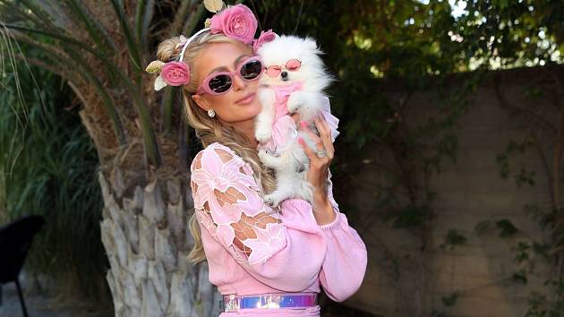 Paris Hilton a její vymóděný pes