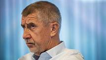 Expremiér a předseda hnutí ANO Andrej Babiš