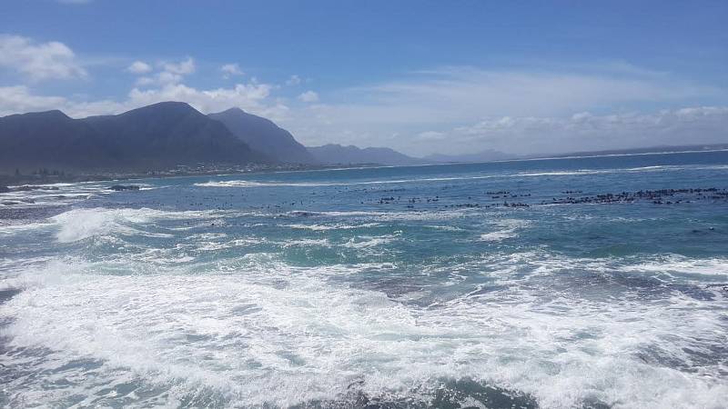 Jedním z řešení krize by mohlo být odsolování mořské vody, které je okolo Kapského poloostrova habaděj.