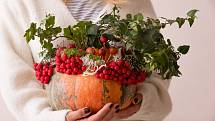 Suché šípky, jeřabiny, vřes, živé nebo sušené květiny, barevné listí. Podzimní zahrada nabízí nepřeberné možnosti pro vazby, v nichž využijete i různé plody dýní.