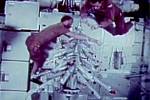 Vůbec poprvé trávili kosmonauti Vánoce ve vesmíru v roce 1968. Posádka Apolla 8 si ozdobila i vánoční stromek.