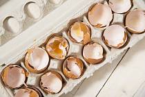 Vaječné skořápky se musí před podáváním slepičce omýt a tepelně ošetřit