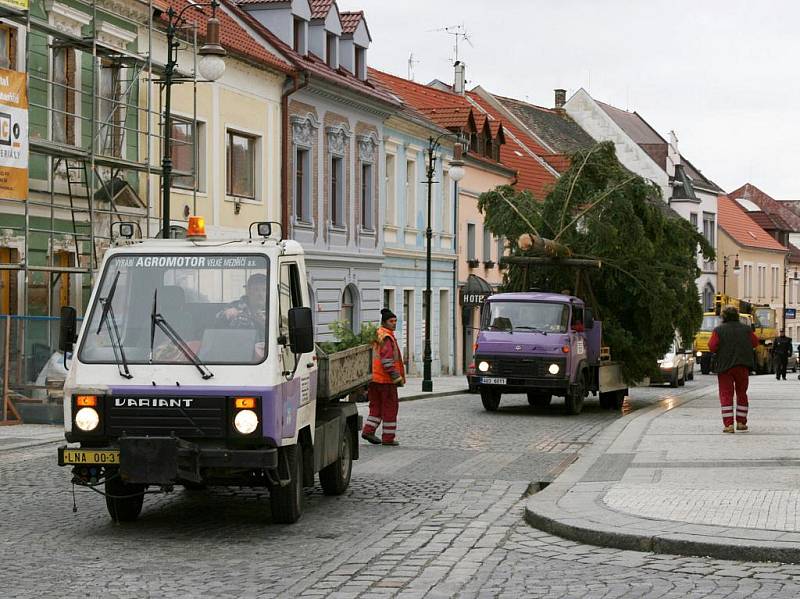 Na Mírovém náměstí v Lounech se tyčí vánoční strom. Postavili ho ve středu 24. listopadu pracovníci Technické správy města Loun. 