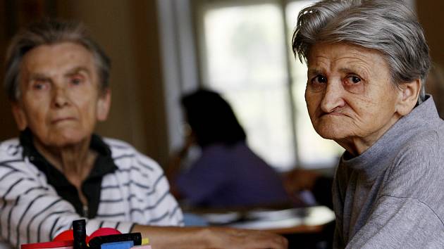 Alzheimerova choroba postihne průměrně každého 20. člověka staršího 65 let, přičemž má na svědomí zhruba polovinu všech případů stařecké demence. (Ilustrační snímek) 
