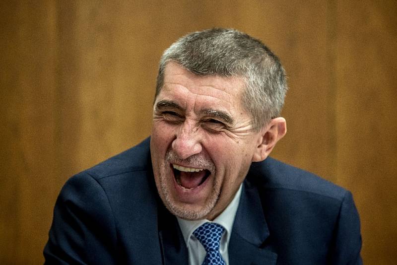 Předseda hnutí ANO Andrej Babiš