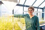 Vědkyně Iva Mozgová vede v Biologickém centru Akademie věd vlastní výzkumnou skupinu, která se zaměřuje na genetickou úpravu rostlin.