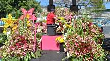Madeira oslavila konec pandemie Květinovým festivalem.