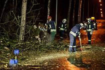 Odklízení stromů ze silnice v Kielu.