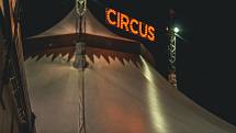 Francie zakázala zvířata v cirkusech