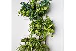 Méně nákladnou a dostupnější alternativou k vertikálním zeleným stěnám jsou obrazy z živých rostlin.