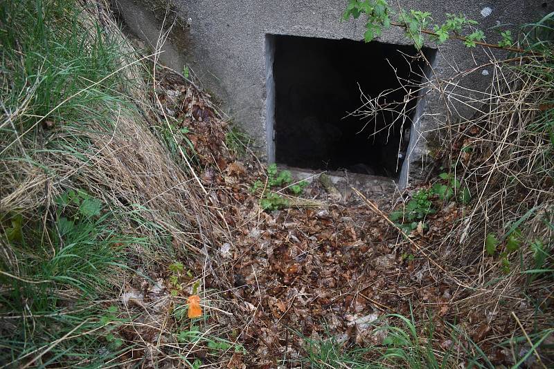 A také prostitutky, které do lesíků nad Chomutovem vodí zákazníky. V lesích po nich zůstávají plastové lahve a v některých případech, jako v tomto, i prezervativy.