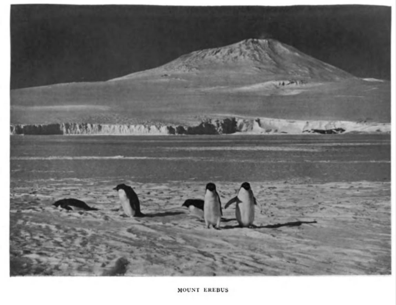 Sopka Mount Erebus, Rossův ostrov, Antarktida