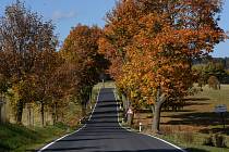 Podzimní příroda v podhůří Hrubého Jeseníku, 12. října 2022, Rýmařov. Silnice z Nové Vsi do Rýmařova.