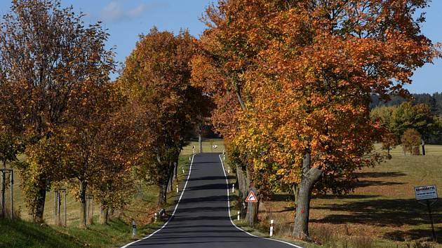 Podzimní příroda v podhůří Hrubého Jeseníku, 12. října 2022, Rýmařov. Silnice z Nové Vsi do Rýmařova.