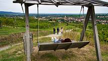 Vinařská turistika v údolí Dunaje. Světově známá oblast Wachau a sousední vinařské městečko Langelois lákají návštěvníky z Česka.