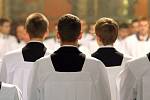 Zrušení celibátu by do řad římskokatolické církve jistě přivedlo nové, mladé členy.