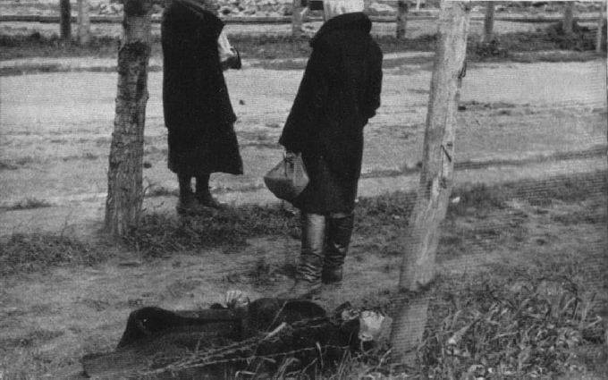Hladomor na Ukrajině, 1932-1933