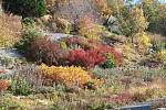 V arboretu Makču Pikču v Pasece můžete obdivovat čtyři tisíce druhů rostlin z celého světa.